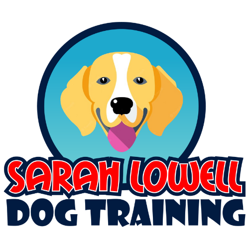 sarahlowelldogtraining.com